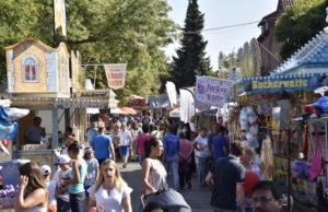Meckelfelder Dorffest. Foto: Hamann