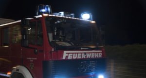 Feuerwehr (Symbolbild) Foto: Hamann