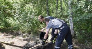 Um den Moorbrand zu löschen musste der Boden umgegraben und mit Wasser abgelöscht werden. Foto: Hamann