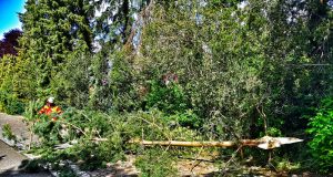 Binnen weniger Minuten konnten Einsatzkräfte der Feuerwehr Maschen die Gefahr beseitigen. Foto Matthias Köhlbrandt