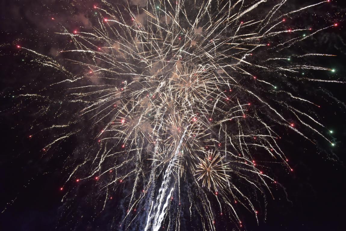 Tierhalter-aufgepasst-Lautes-Feuerwerk-am-Reformationstag-in-Seevetal