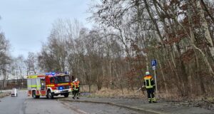 In Maschen beseitigte die Feuerwehr im Moorweidendamm mittels Seilwinde einen in fünf Metern Höhe abgebrochenen Baum. Foto: Feuerwehr Seevetal