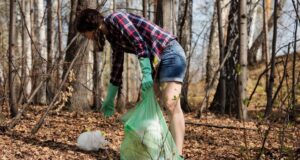 Frühjahrsputz. Foto: Symbolbild