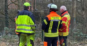 Erneuter Einsatz am Meckelfelder Schulteich: Die Ursache der Verschmutzung bleibt rätselhaft. Foto: Hamann