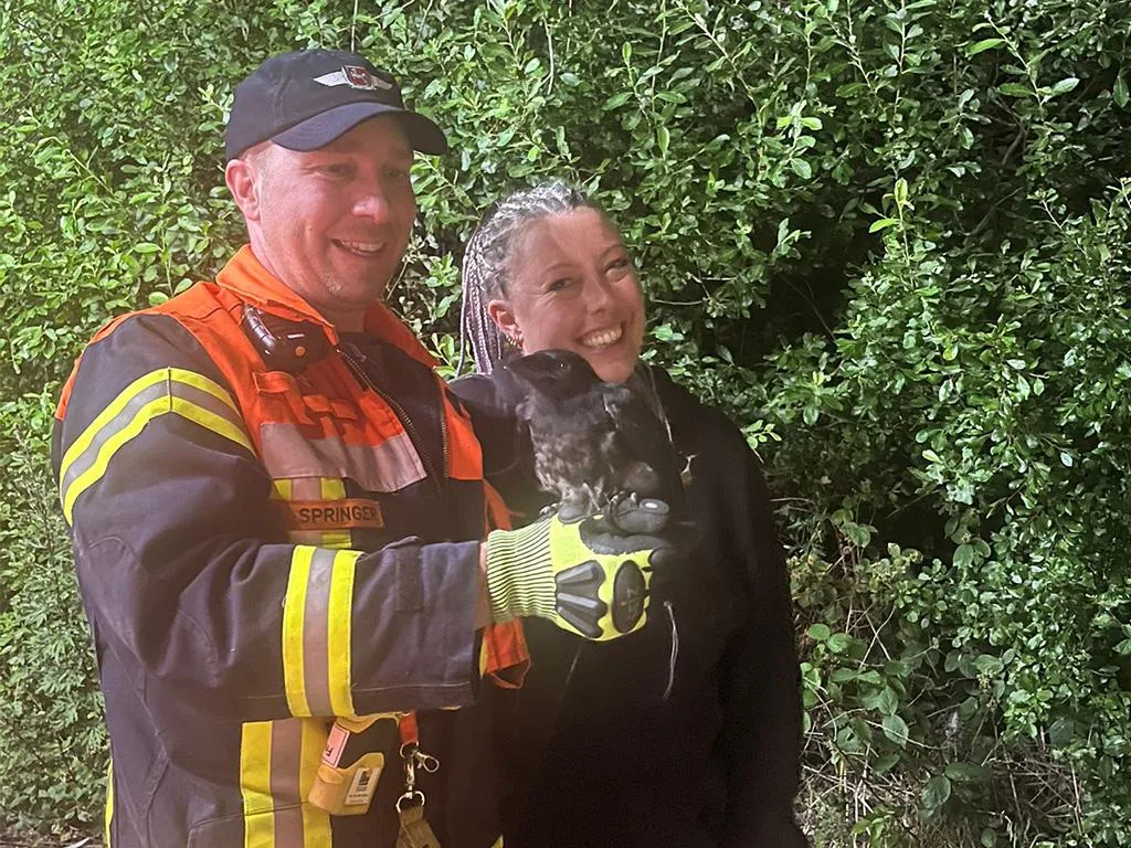 Feuerwehr-rettet-Jungkr-he-aus-Baum-in-Maschen