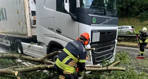 Ein umgestürzter Baum blockierte die Autobahn 261 und beschädigte zwei Fahrzeuge. Foto: Schubert
