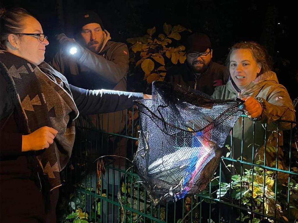 Verletzter-Fischreiher-gerettet-Meckelfelder-zeigen-gro-e-Tierliebe