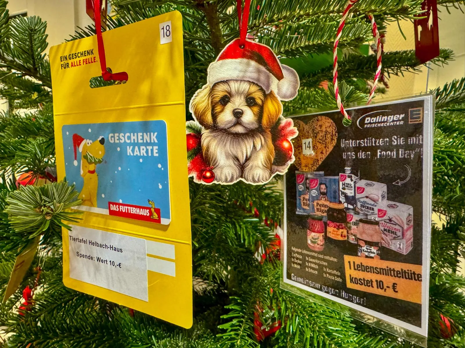 Seevetaler-Wunschbaum-steht-wieder-im-Rathaus-Hittfeld