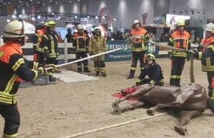 Die Freiwillige Feuerwehr Moor demonstrierte auf der Pferdemesse in Hannover die Rettung von Großtieren. Foto: Schmerling