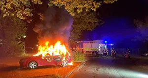 Das Auto stand lichterloh in Flammen. Foto: Feuerwehr Seevetal